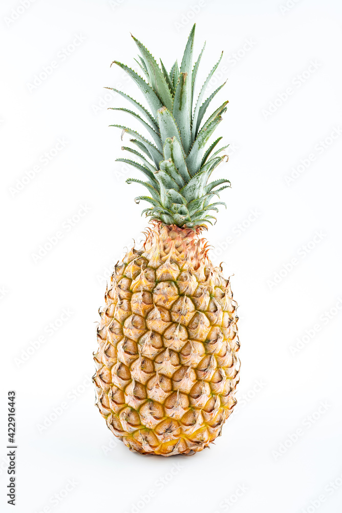 One Hainan pineapple on white background One Hainan pineapple on white background
