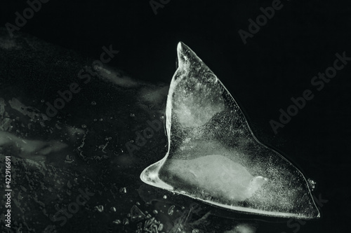 Ice floe in sepia shades in shape of whale's tail