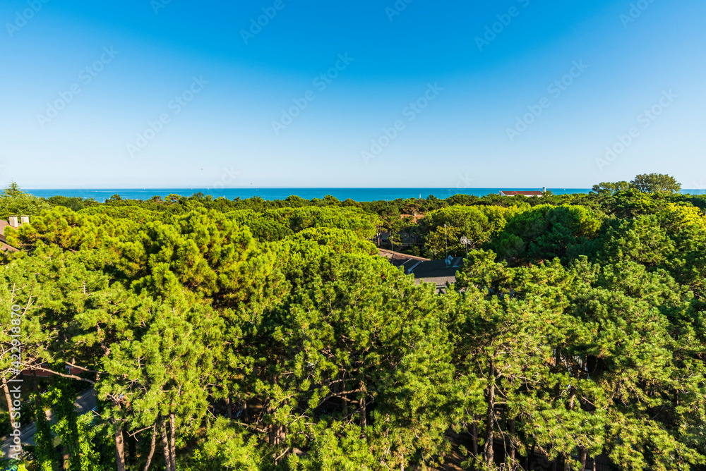 A different look. The pine forest of Lignano Sabbiadoro from above.