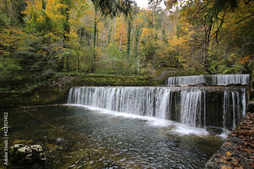 Fototapeta Naklejka Na Ścianę i Meble -  Mini chute d'automne