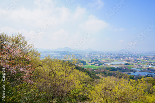 春の里山 讃岐平野(香川県三木町から高松市街方面を望む)