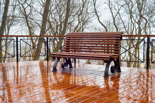 Empty bench rain park refle...