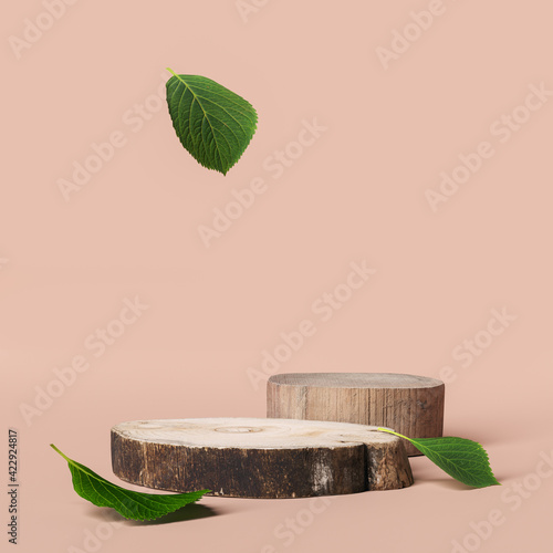 Fototapeta Naklejka Na Ścianę i Meble -  Natural organic product presentation. Wood slabs podium elements with green leaf. 3d rendering