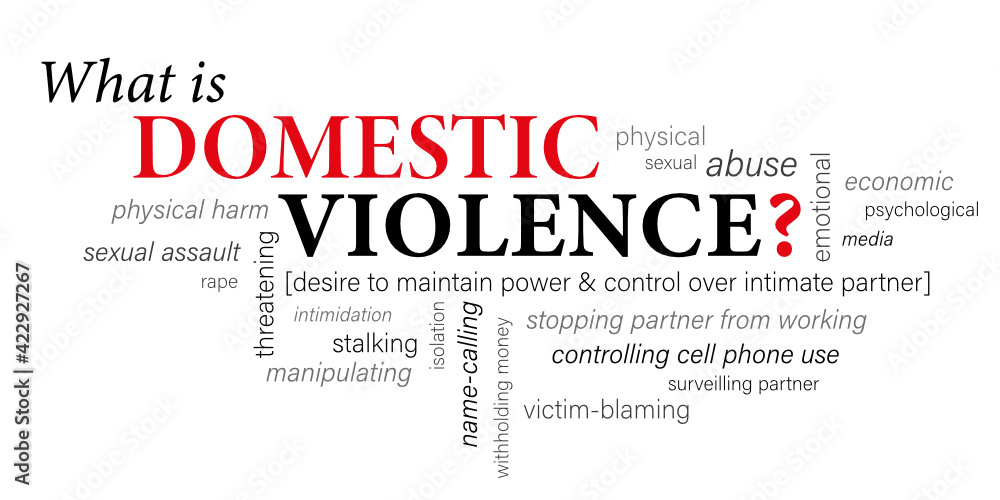 WHAT IS DOMESTIC VIOLENCE? vector word cloud on white background