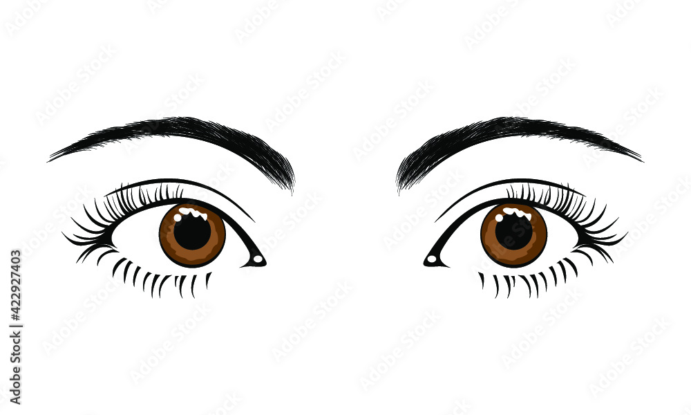 Beautiful female brown eyes isolated on a white background Beautiful female brown eyes isolated on a white background