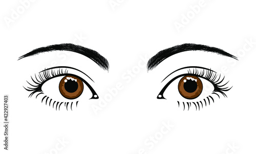 Beautiful female brown eyes isolated on a white background