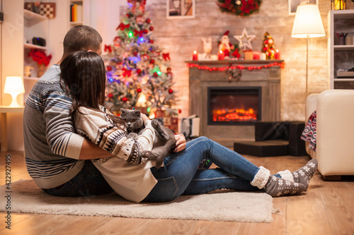 Happy couple and their scottish fold enjoying the warmth of the fireplace on christmas day. © DC Studio