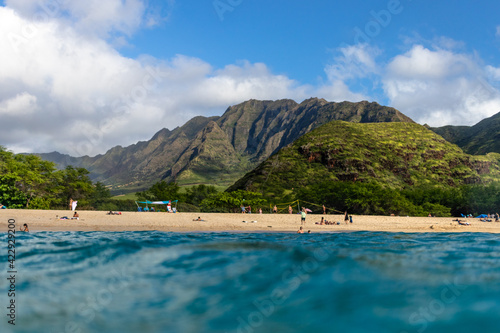 Surfer, Hawaii