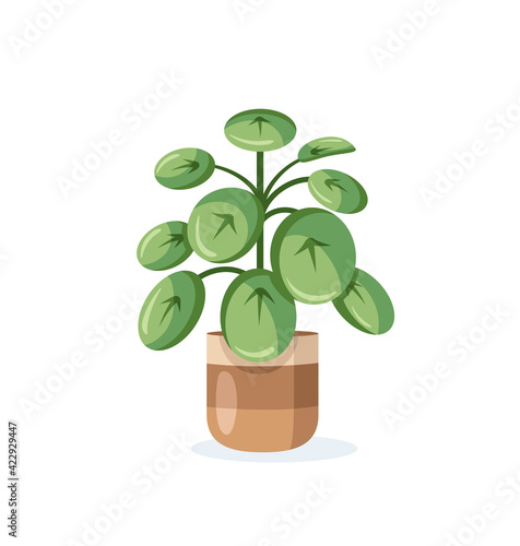 Flower in pot isolated on white background