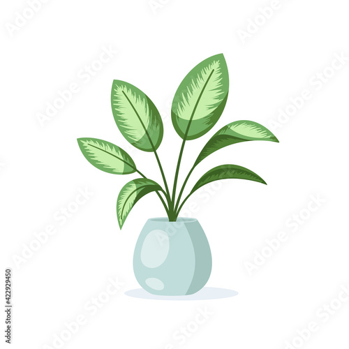 Flower in pot isolated on white background