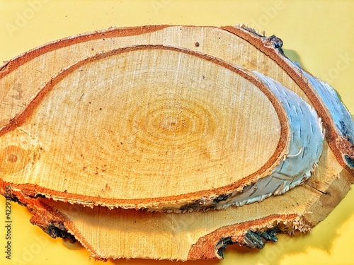 on the yellow background lie slices of birch with visible white bark and rings in the wood 
