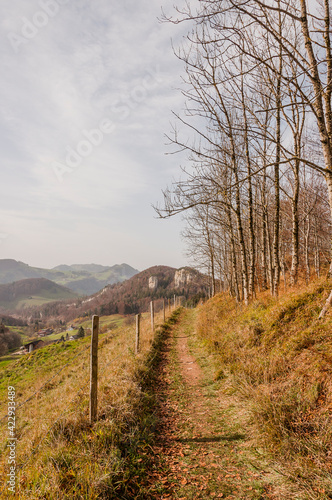 Belchen, Bölchen, Chilchzimmersattel, Ankenballen, Steinenberg, Geissflue, Wanderweg, Felsgipfel, Läufelfingen, Jura, Baselland, Herbst, Schweiz photo