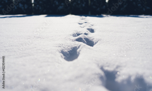 footprints in snow