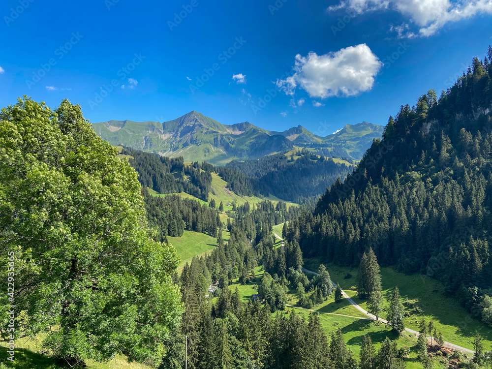 Grüne Landschaft zwischen Entlebuch und Emmental in den Schweizer Voralpen.