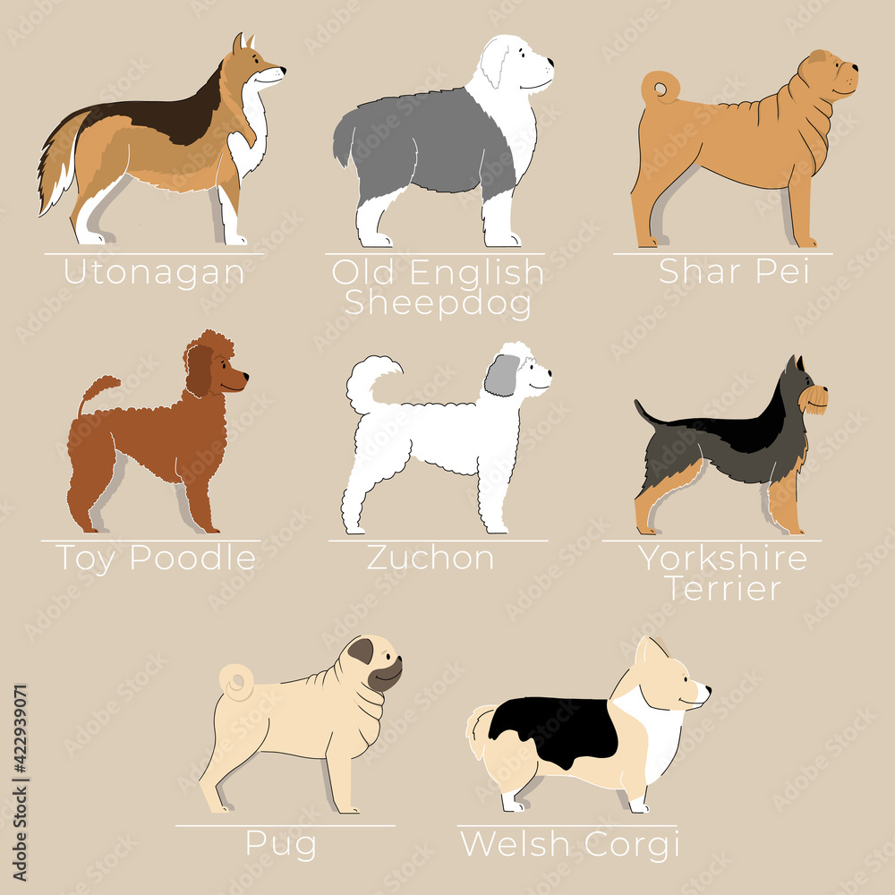 Cute printable set with friendly dogs. Hand drawn pamphlet with dogs for learning. Creative ...