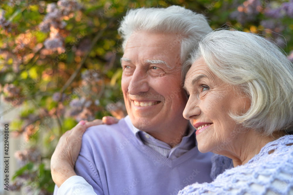 beautiful senior couple hugging in the park by lilacs beautiful senior couple hugging in the park by lilacs