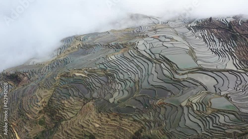 beautiful yunyang hani rice terraces in cloud fog,  aerial video of yunnan landscape, China. photo