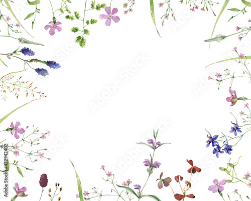 Wallpaper Mural Frame made of watercolor wild flowers and herbs on white background Torontodigital.ca