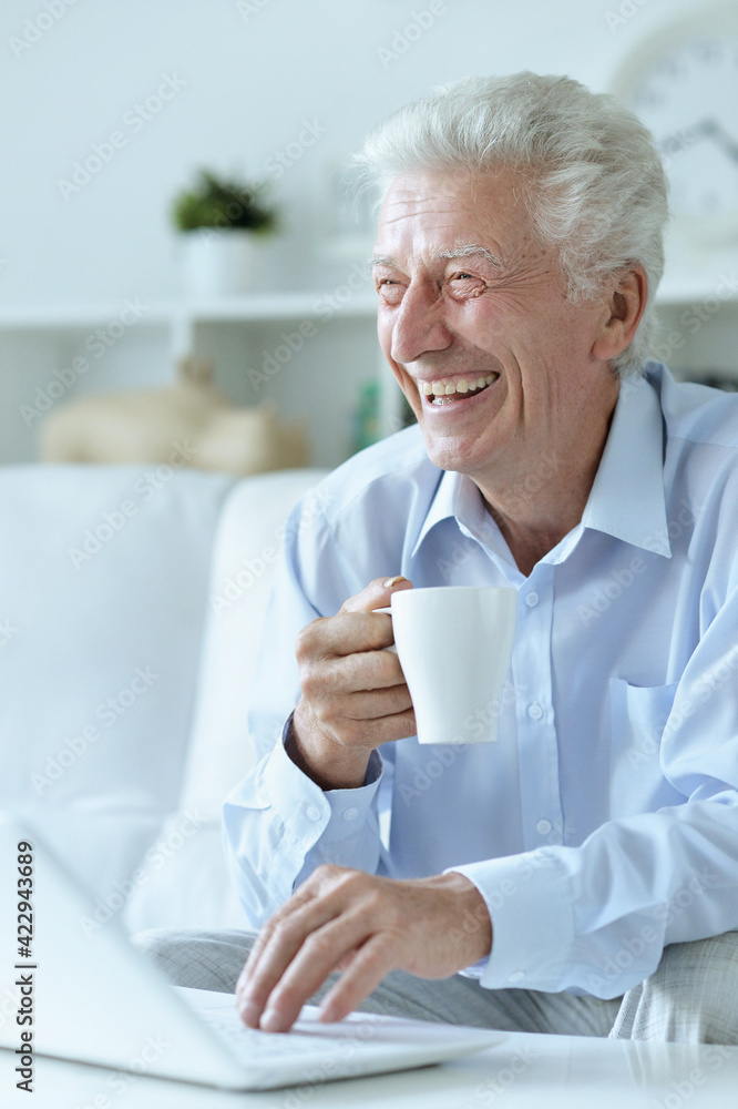 senior man using laptop at home senior man using laptop at home