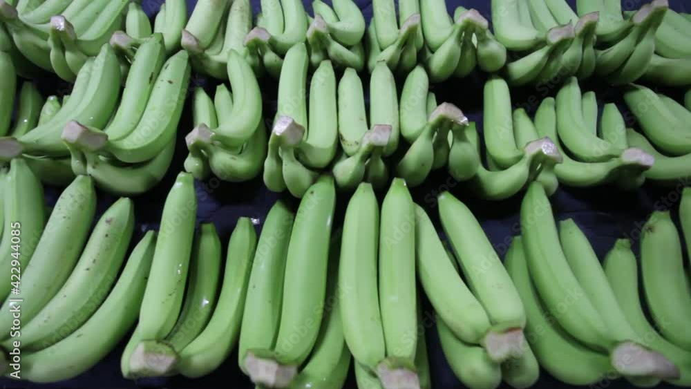 Bunches of fresh green thailand banana Bunches of fresh green thailand banana