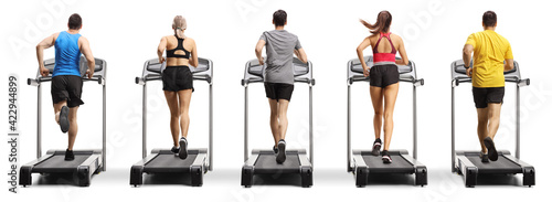 Rear view shot of people running on treadmills in a row