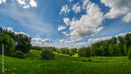 Fototapeta Naklejka Na Ścianę i Meble -  Beautiful landscape of field with green grass under the shining sun in the spring