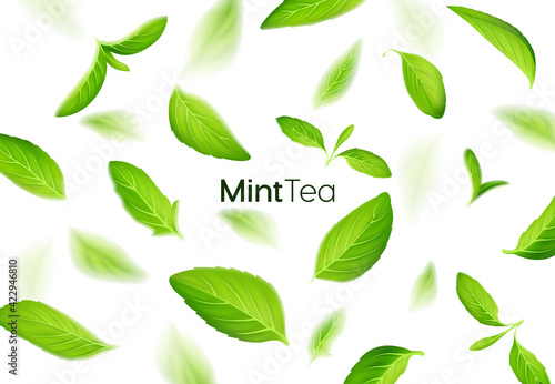 Realistic fresh mint tea green leaves on white background, tea and herb