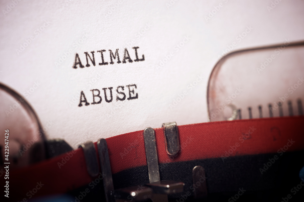 Animal visual data 5