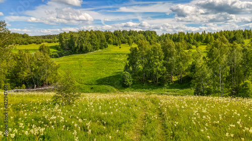 Beautiful landscape of field with flowers and green grass growing under the shining sun and a path leading to the horizon in springtime