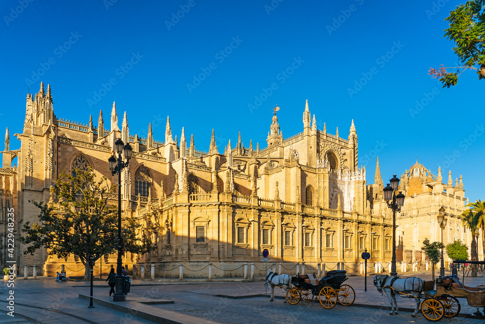 Panoramic view of the Seville Cathedral with horse carriage