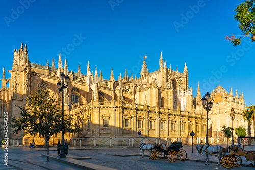 Panoramic view of the Seville Cathedral with horse carriage