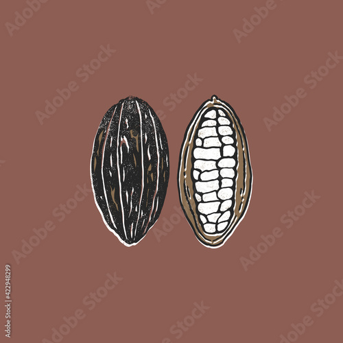 Gold and black cocoa bean. Minimalist abstract textured style illustration. Chocolate cacao beans.