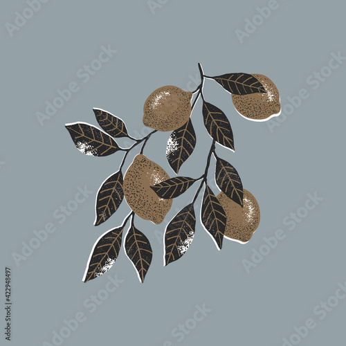 Gold and black lemon branch. Minimalist abstract textured style illustration. Citrus with leaves. 