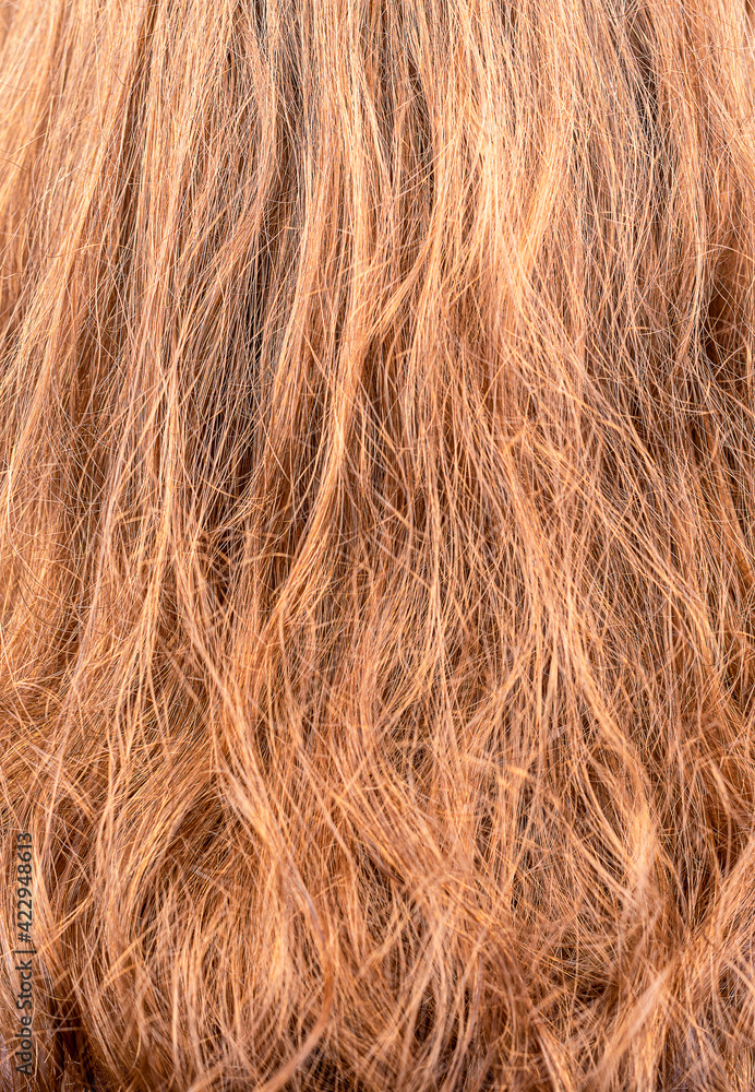 Naklejka premium Full frame of colored female hair as background.