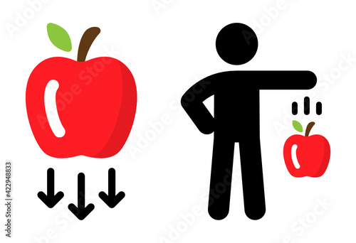 Gravity illustration. Apple falling down due to gravitational force of Newton's Law.