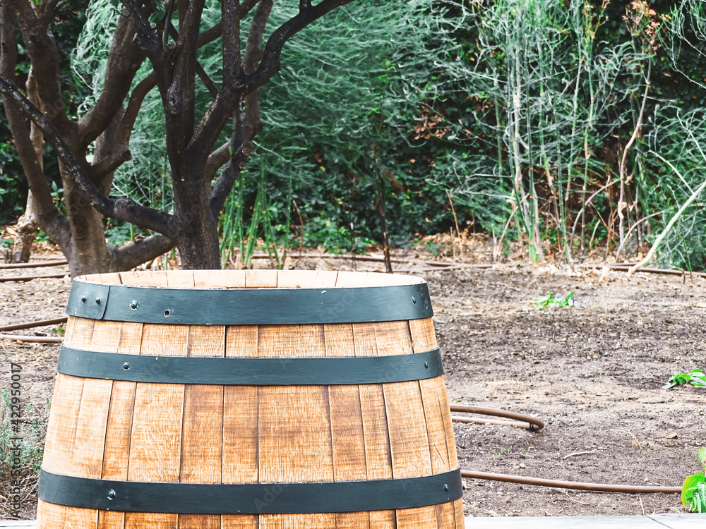 Wooden wine barrel left at the backyard