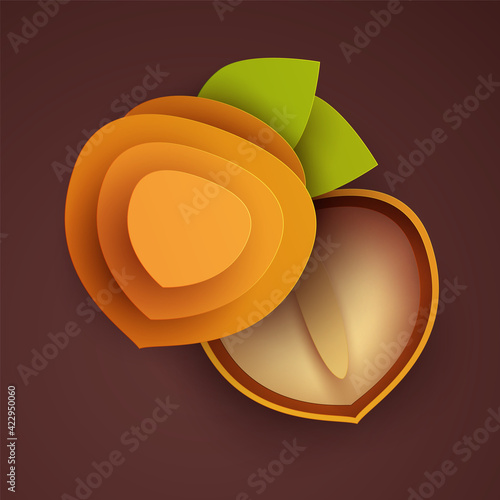 Cartoon whole and half hazelnut in modern geometric 3d paper cut style isolated on color background. Vivid creative vector art element. Minimalistic concept of abstract design illustration.