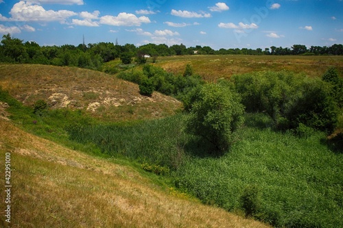 landscape with trees and hills