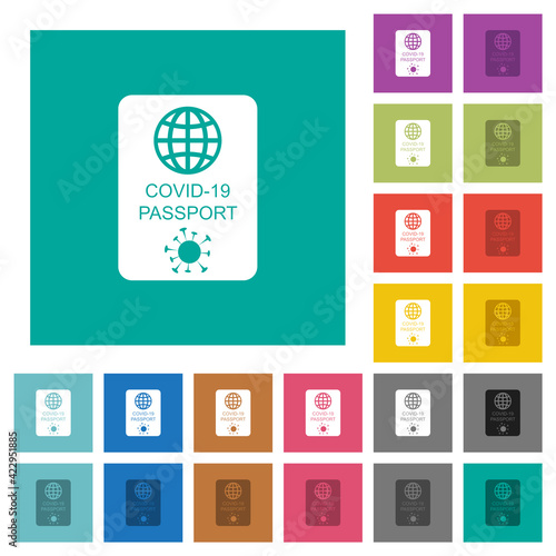 Covid-19 passport square flat multi colored icons