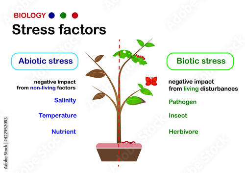 Biology diagram explain stress factor (biotic and abiotic stress) on living organism such as plant