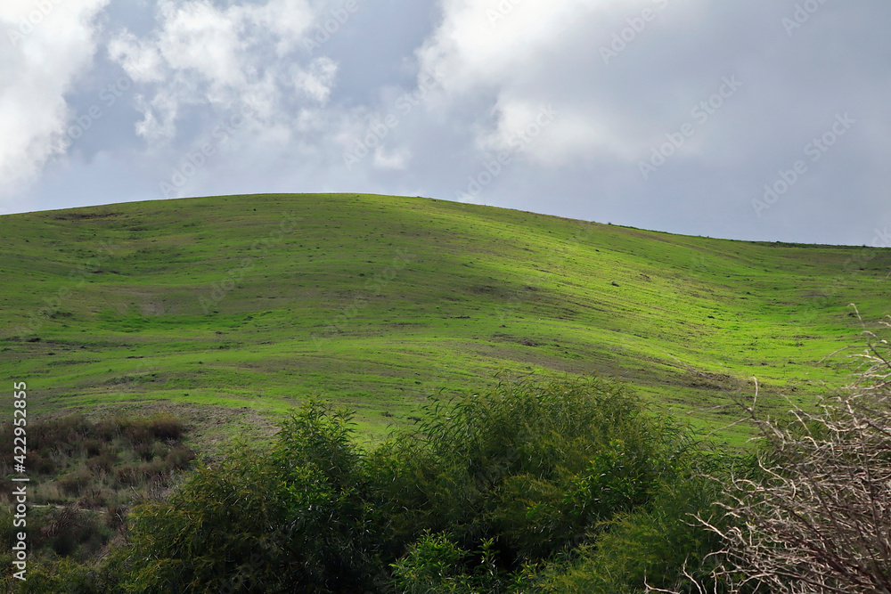 Fototapeta premium Countryside near Catanzaro on a cloudy Day (Italy)