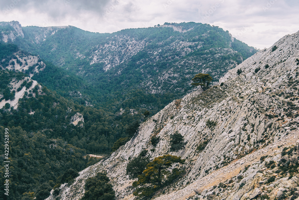 cloudy day with fog in the mountains of the natural park of the ports, in tarragona (spain)