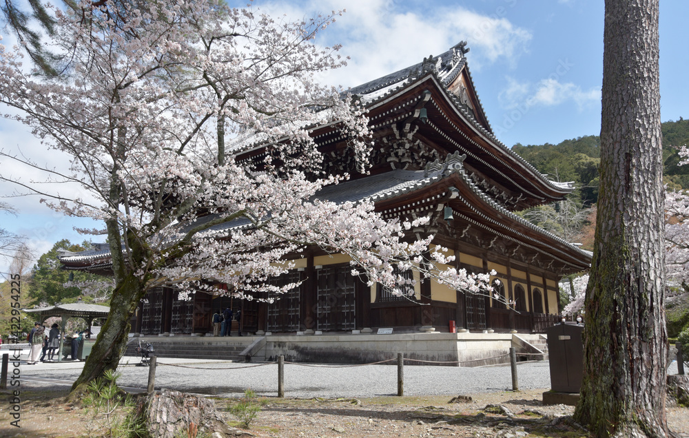 春の南禅寺　法堂　京都市