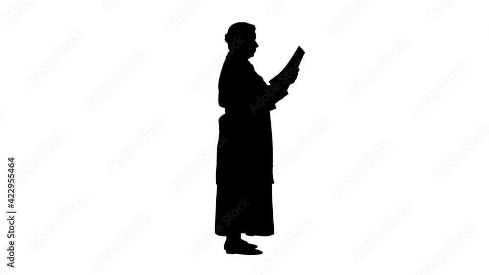 Silhouette Mature female doctor examining patient's x ray. Silhouette Mature female doctor examining patient's x ray.