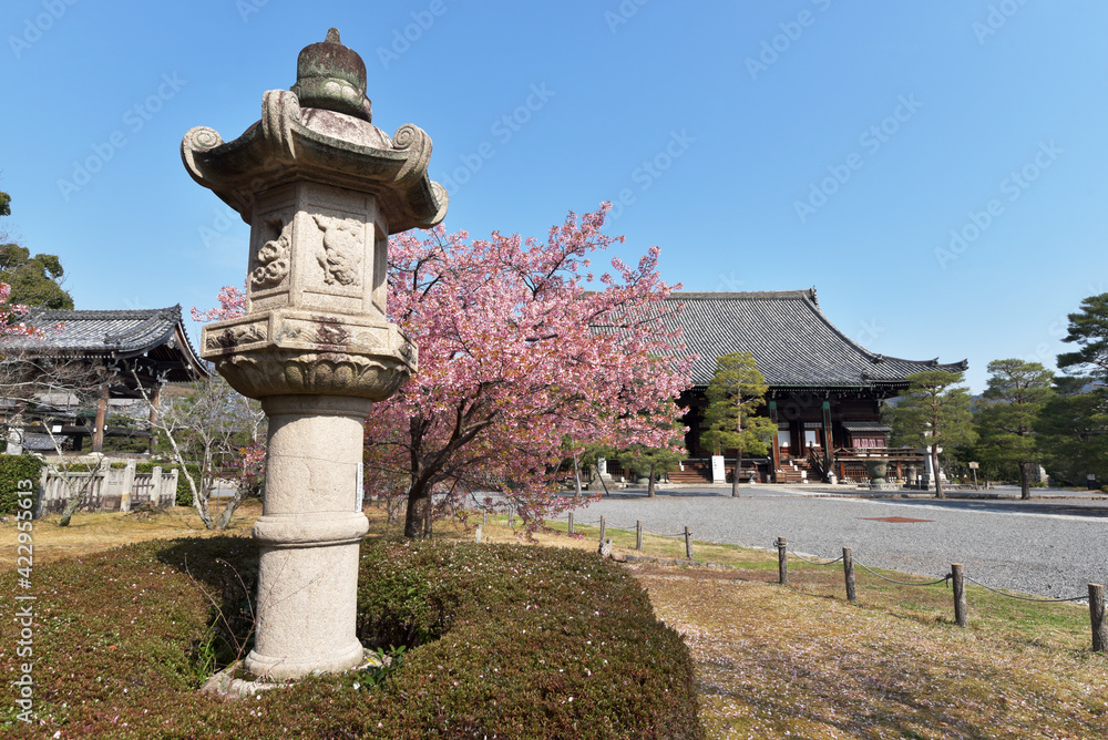 Obraz premium 清凉寺 釈迦堂 京都市嵯峨