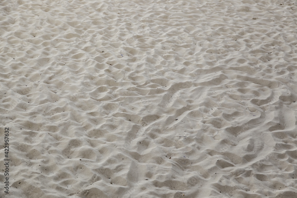 Fototapeta premium Beach sand with dunes