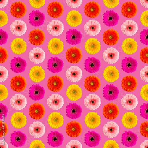 Seamless pattern of colorful gerbera on a white Germini photo converted into a seamless pattern