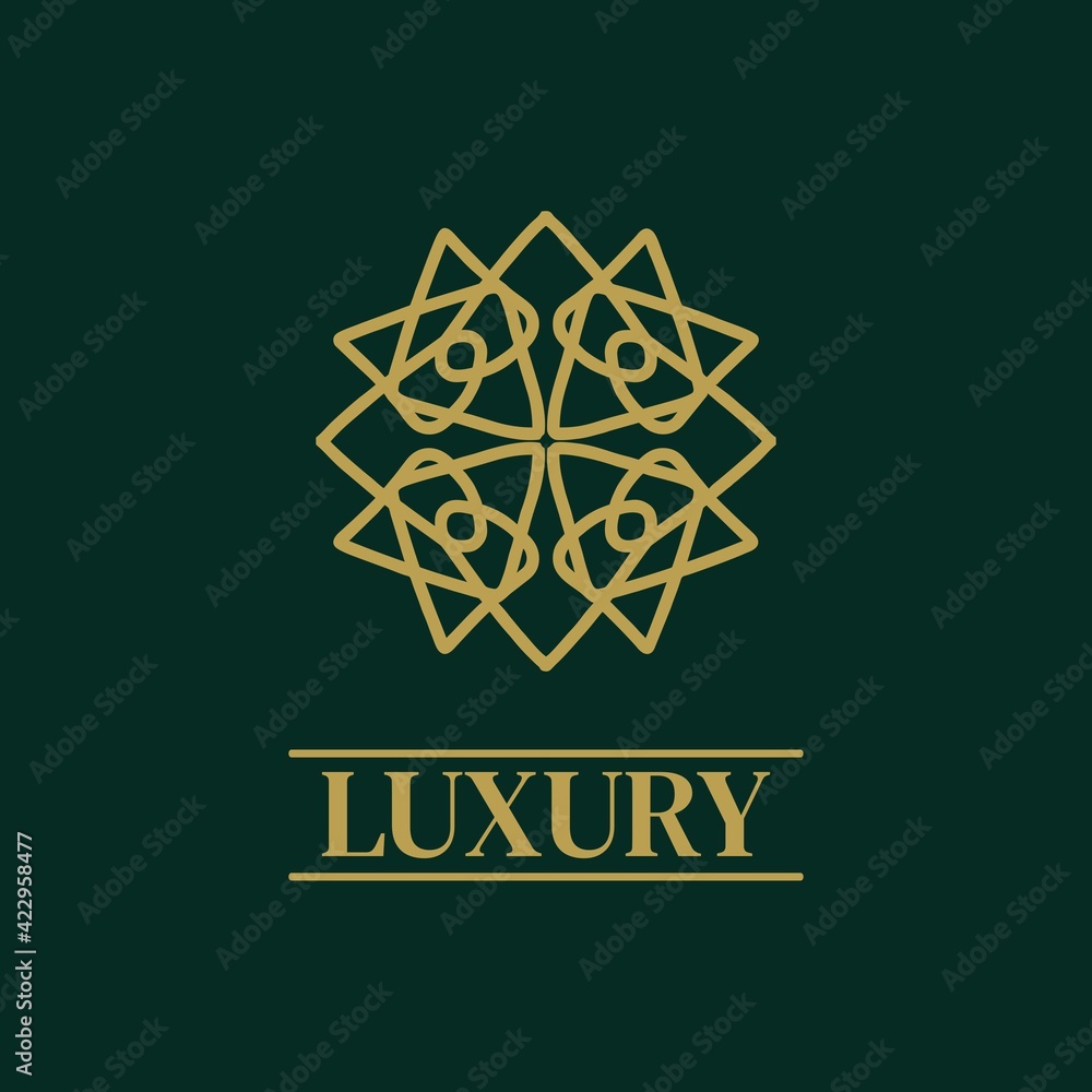 Mandala Geometric ornament logo Elegant premium icon vector design Mandala Geometric ornament logo Elegant premium icon vector design