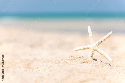 Closeup starfish on the sand beach background blue sky. Summer and Travel Concept.