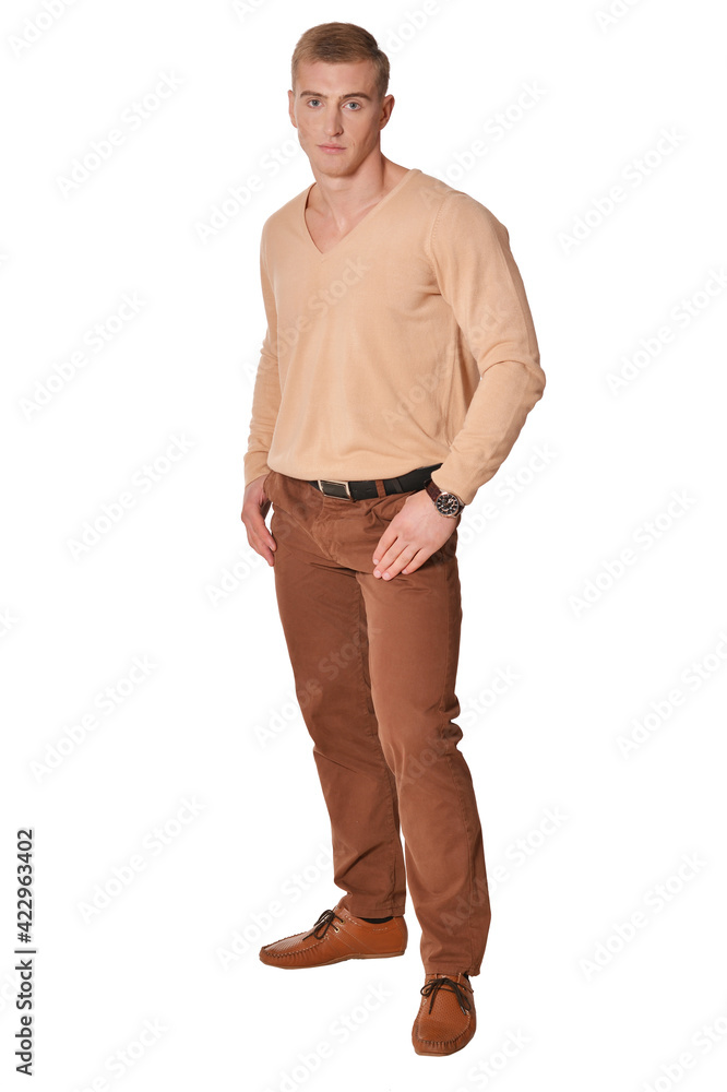Fototapeta premium handsome young man wearing casual clothing